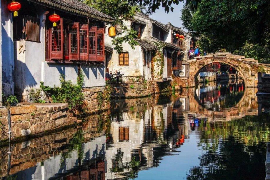 逃离仿真森林